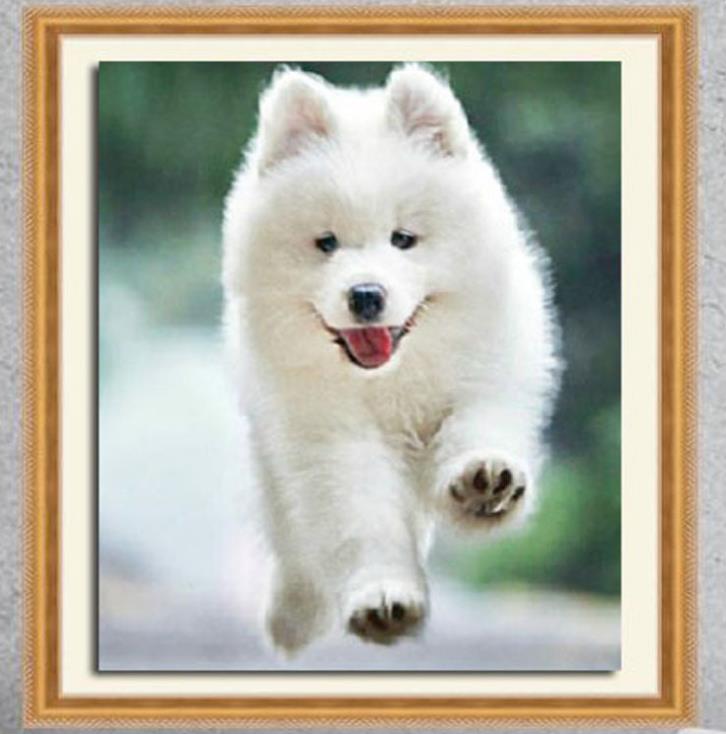DIY 5D Partial Diamond Embroider The dog Square Diamond Painting Cross Stitch Kits Diamond Mosaic Home Decoration a155
DIY 5D Partial Diamond Embroider The dog Square Diamond Painting Cross Stitch Kits Diamond Mosaic Home Decoration a155