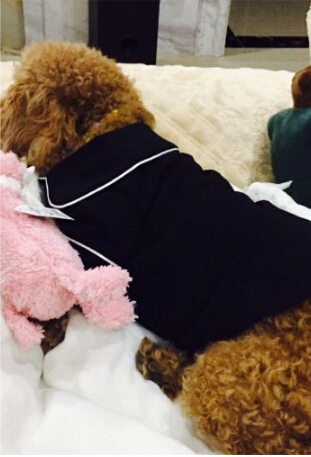 Summer French dog pajamas Pomeranian bear bullfighting small dog Teddy pet clothes shirt Feel Comfortable When Touched