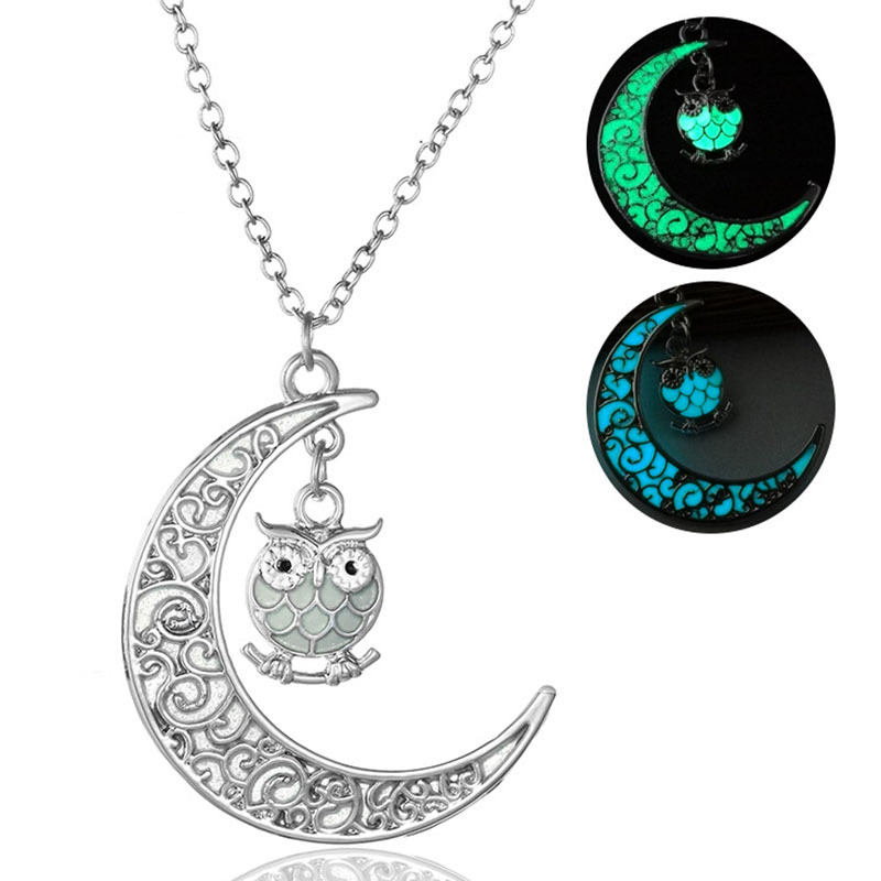 Multicolor Luminous Owl necklace Pendant Moon Glowing in the dark Animal Charm Necklaces fashion jewlery for Women Kid gift will and sandy, Silver
Multicolor Luminous Owl necklace Pendant Moon Glowing in the dark Animal Charm Necklaces fashion jewlery for Women Kid gift will and sandy, Silver