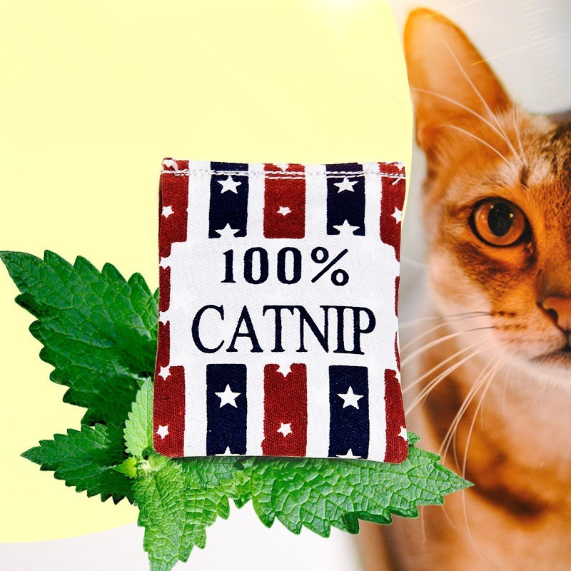 100% Linen Square Shape Catnip Bags cat Catnip Toys Different Colors Supply Cat Love It Pet Catnip Supply Pet Cat toys Training
100% Linen Square Shape Catnip Bags cat Catnip Toys Different Colors Supply Cat Love It Pet Catnip Supply Pet Cat toys Training