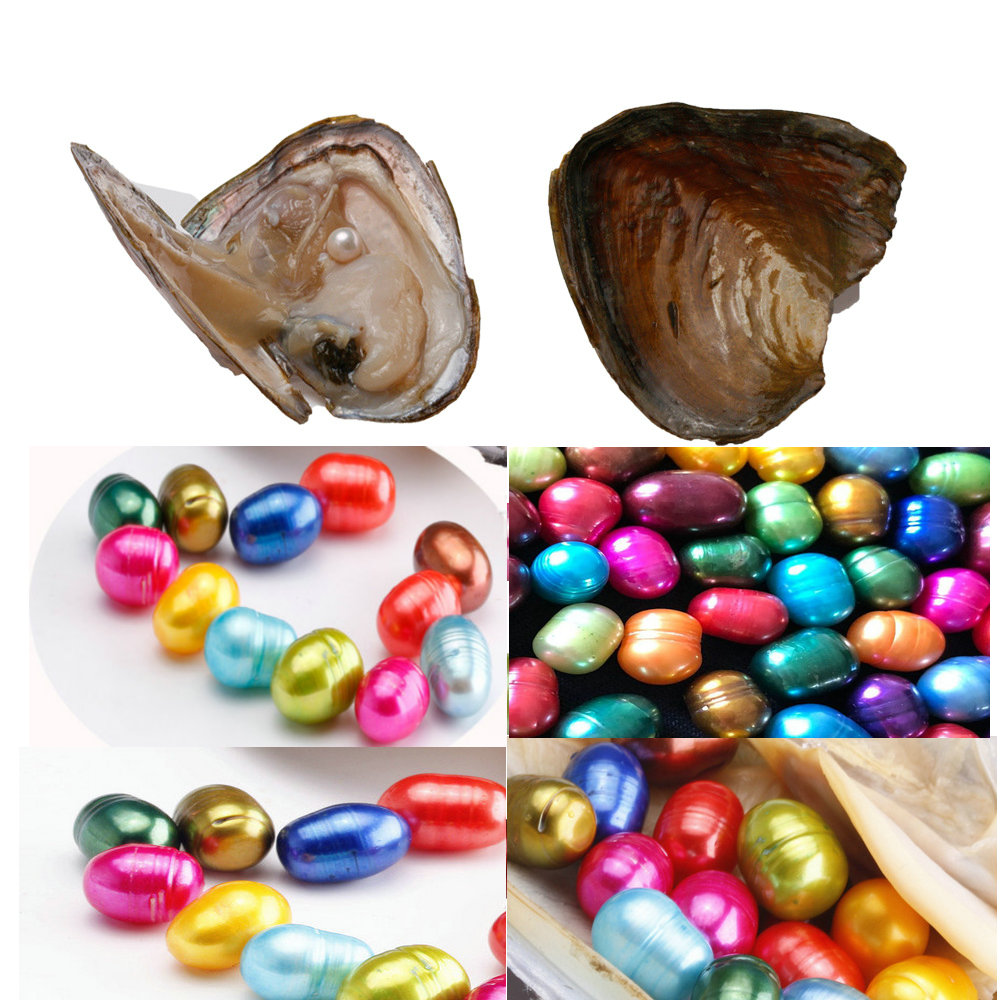 PILL SHAPE STRIPE PEARL OVAL freshwater shell pearl oyster 8-9mm mixed colors pearl oyster with vacuum packaging FANCY GIFT
PILL SHAPE STRIPE PEARL OVAL freshwater shell pearl oyster 8-9mm mixed colors pearl oyster with vacuum packaging FANCY GIFT