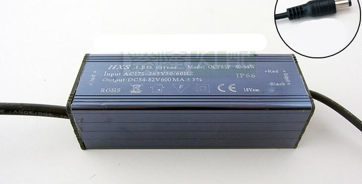 AC220V LED Driver Lighting Transformers 300mA 600mA Constant Current Waterproof Power Supply 6-10W 10-16W 14-20W 20-28W 30-42W 40-54W For Flat Light D