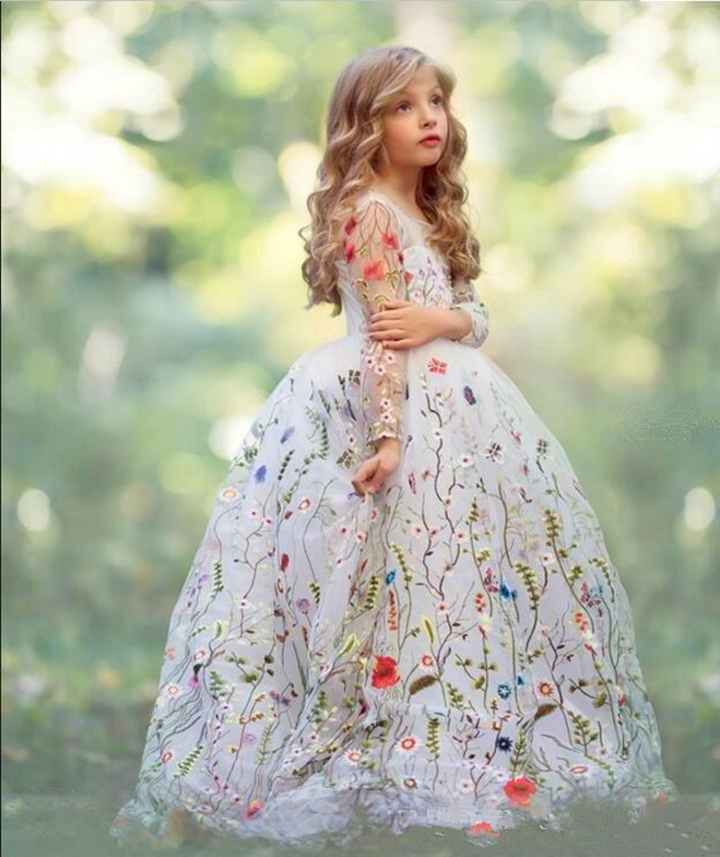 Long Sleeve Colorful Cinderella Floral Embroidered Tulle Wedding Princess Ball Gown Flower Girl Dress Pageant 2019 Birthday Party Kid Modern, Silver
Long Sleeve Colorful Cinderella Floral Embroidered Tulle Wedding Princess Ball Gown Flower Girl Dress Pageant 2019 Birthday Party Kid Modern, Silver
