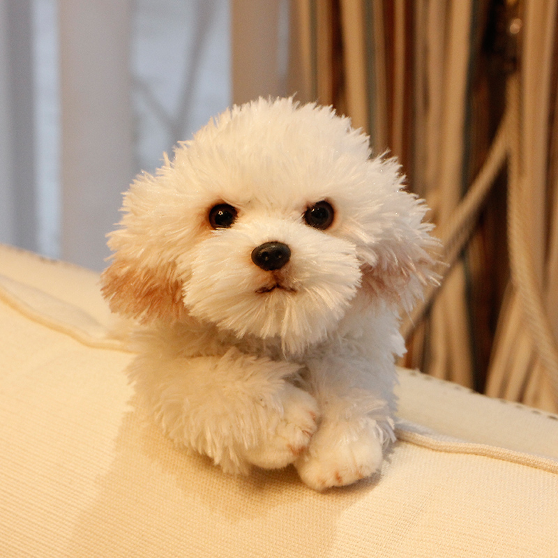 cute soft animal maltese dog plush toy mini stuffed lying animals pet dogs doll baby gift car decoration 35x12x14cm DY50138