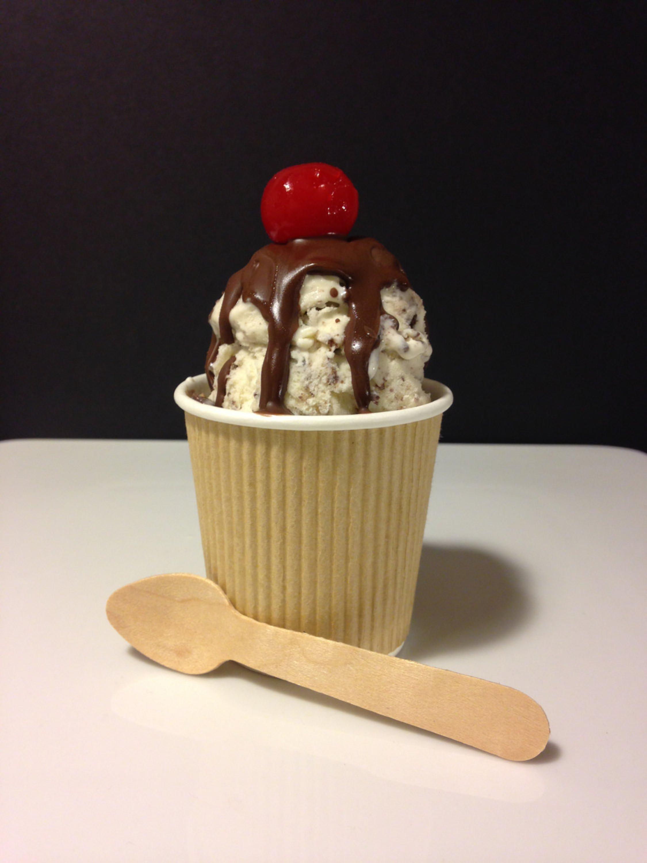 Wooden Spoons 50 SMALL Disposable Wooden Utensils Ice Cream Spoons Mini Dessert Wood Silverware Wedding Spoon