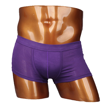 LELINTA Sexy Mens Underwear Cute Boys in Boxers Elastic Fabric Gay Underwear for U Convex Pouch Pants Male Underpants Guys