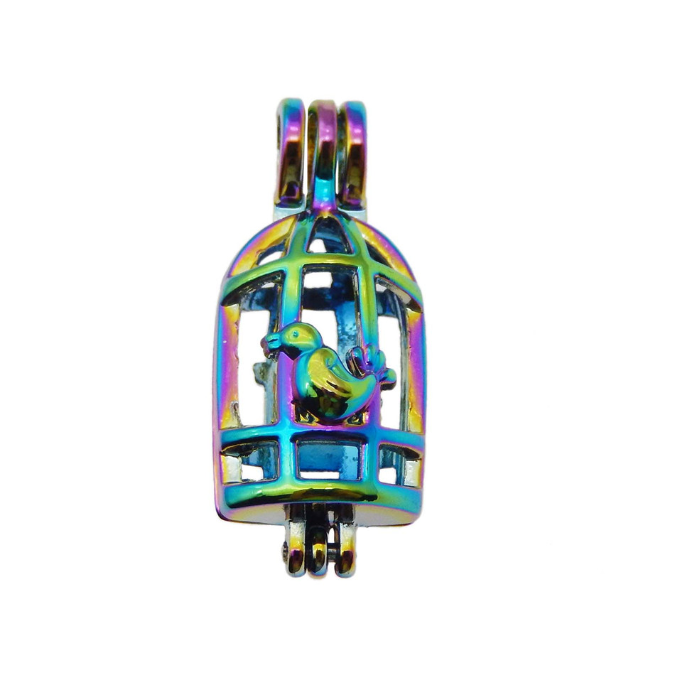 10pcs Rainbow Color birdcage Pearl Cage Beads CageLocket Pendant Essential Oil Diffuser DIY Jewelry Locket For OysterPearls