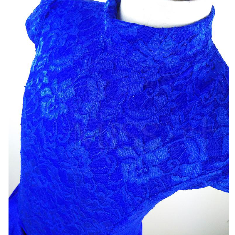 2018 Latin Dance Dress For Girls Short Sleeve Lace Salsa Ballroom Dancing Dresses For Kids Competition Performance Wear DN1339