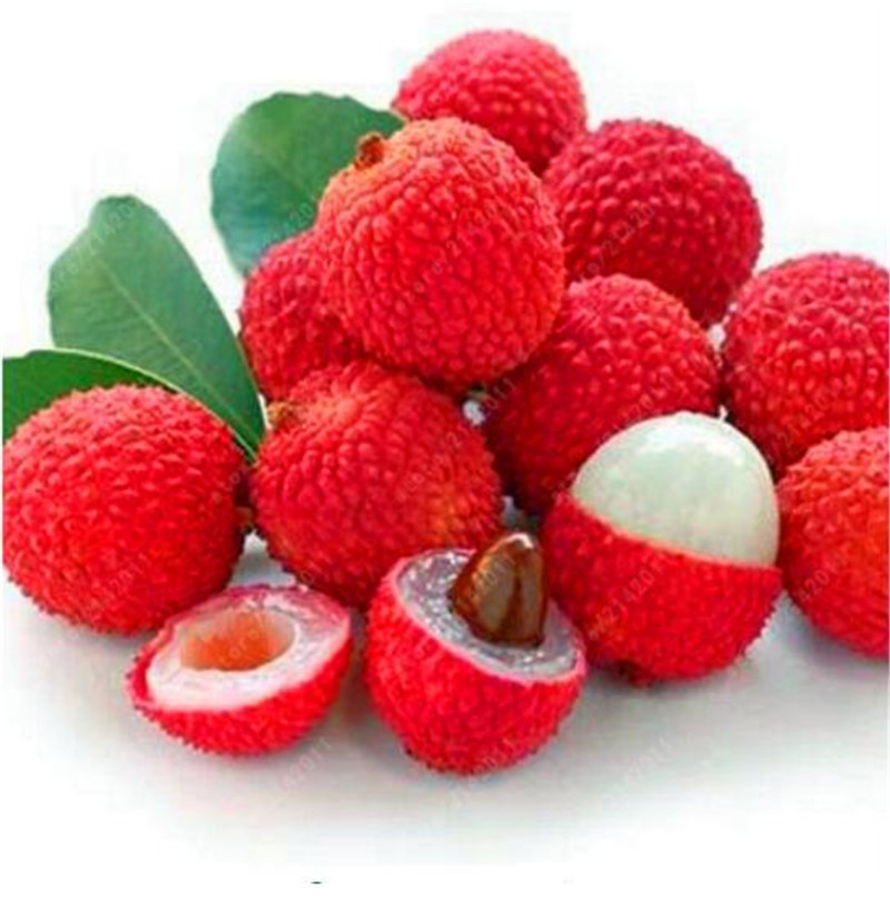 Lychee Subtropical Seasonal Fruit Seeds litchi seeds plant Bonsai Rare Sweet edible food for DIY home Garden 5 pcs/bag
Lychee Subtropical Seasonal Fruit Seeds litchi seeds plant Bonsai Rare Sweet edible food for DIY home Garden 5 pcs/bag