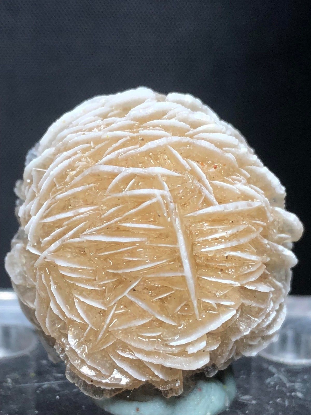 Gauges 120g Natural DESERT ROSE SELENITE Healing raw Crystal Stone Mineral Specimen rough sample cluster fengshui decor reki