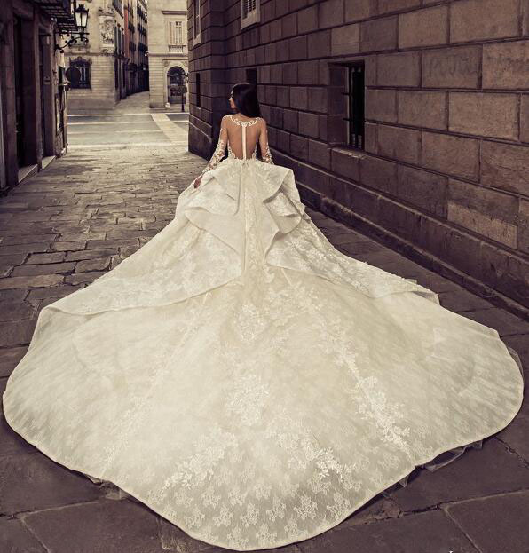 Fantastic Lace Ball Gown Wedding Dress See Through Long Sleeve Applique Sheer Backless Bridal Dress Glamorous Sexy Long Train Wedding Dress