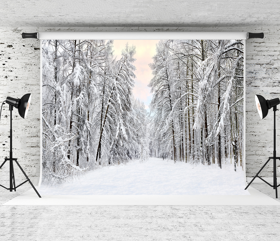 Dream 7x5ft/220X150cm Snow Scenery Backdrop White Snow Forest Photography Background for Photographer Winter Holiday Baby Photo Shoot Studio
Dream 7x5ft/220X150cm Snow Scenery Backdrop White Snow Forest Photography Background for Photographer Winter Holiday Baby Photo Shoot Studio