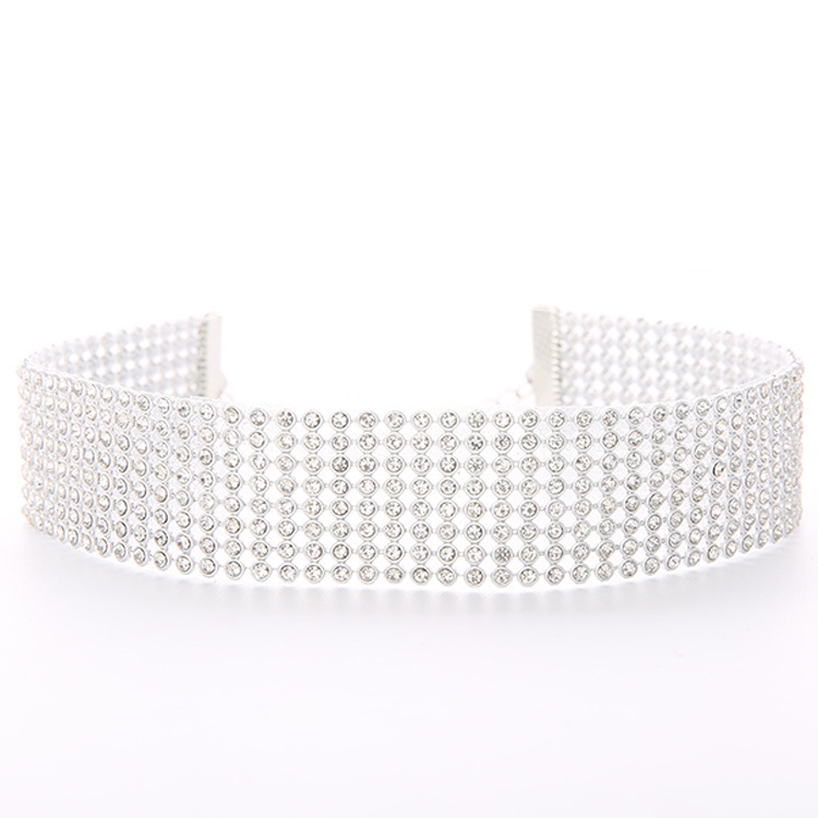 Wide Rhinestone Chocker Statement Jewelry Women Christmas Gifts Pave Crystal Rhinestones Choker Necklace
Wide Rhinestone Chocker Statement Jewelry Women Christmas Gifts Pave Crystal Rhinestones Choker Necklace