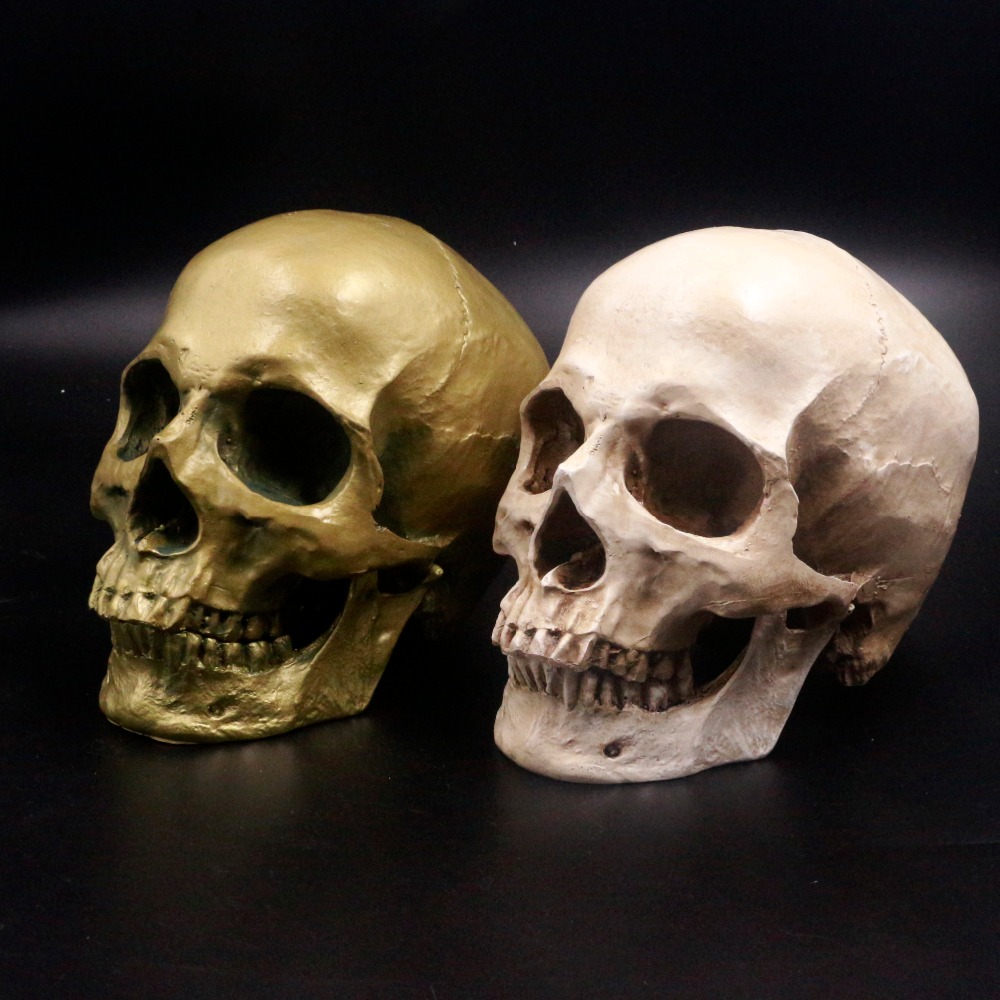Human Skull Lifesize 1:1 Resin Skull Medical Model Aquarium Ornament Fish Tank Waterscape Cave Halloween Home Decoration Free Shiping
Human Skull Lifesize 1:1 Resin Skull Medical Model Aquarium Ornament Fish Tank Waterscape Cave Halloween Home Decoration Free Shiping