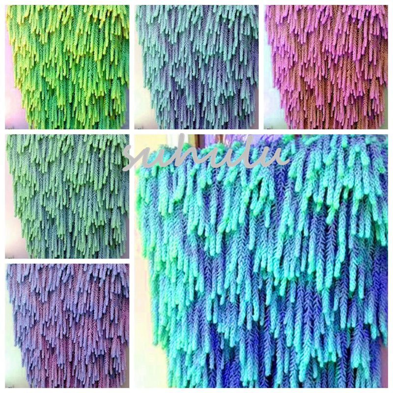 50 Pcs climbing Blue Spruce Seeds Picea Tree Potted Bonsai Courtyard Garden Bonsai Plant Pine Tree Seeds
50 Pcs climbing Blue Spruce Seeds Picea Tree Potted Bonsai Courtyard Garden Bonsai Plant Pine Tree Seeds