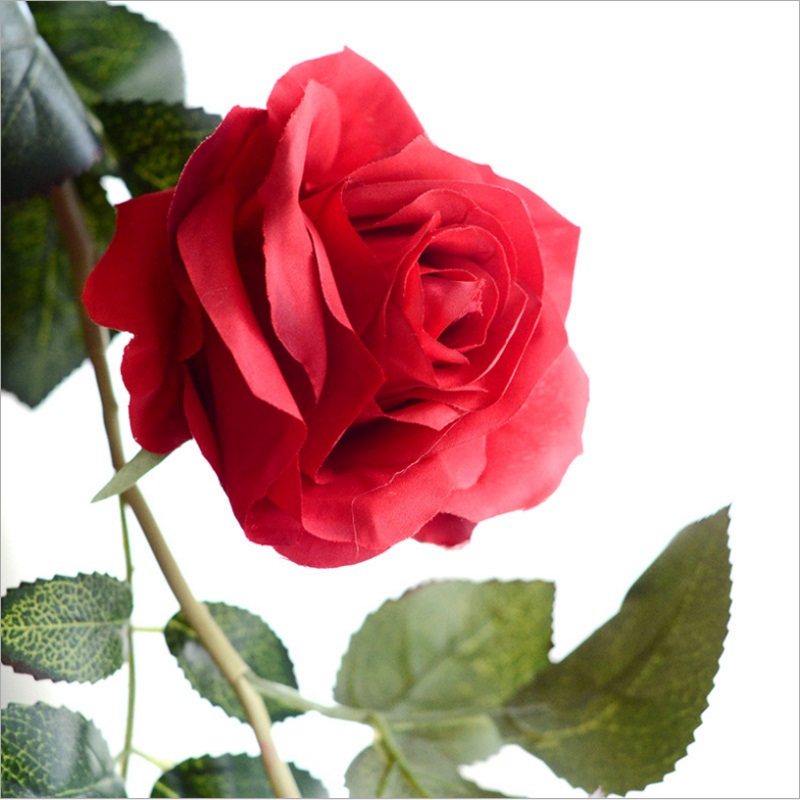 180 cm High Quality Fake Silk Roses Ivy Vine Artificial Flowers With Green Leaves For Home Wedding Decoration Hanging Garland
