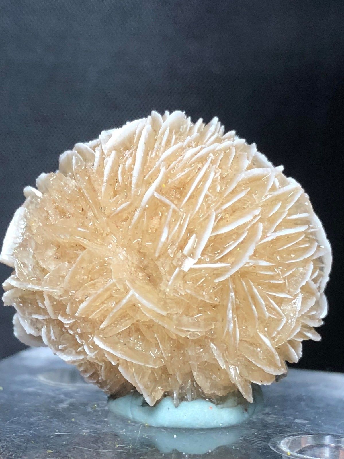 Gauges 120g Natural DESERT ROSE SELENITE Healing raw Crystal Stone Mineral Specimen rough sample cluster fengshui decor reki