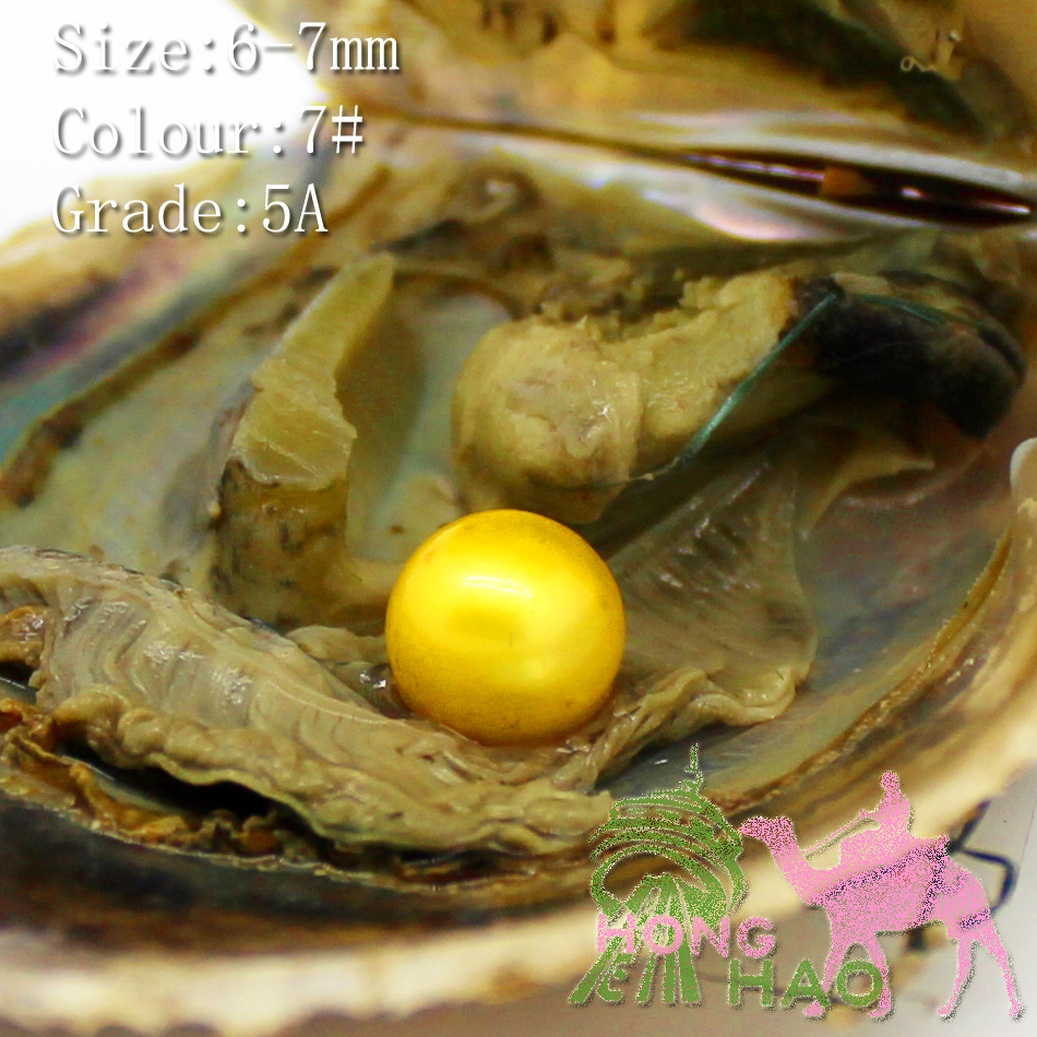 Vacuum packed Akoya Salt Pearl Oyster, pearl in oyster is 6-7mmAAAAA (no flaw) level #7 yellow (free shipping by DHL 2-5 days)
Vacuum packed Akoya Salt Pearl Oyster, pearl in oyster is 6-7mmAAAAA (no flaw) level #7 yellow (free shipping by DHL 2-5 days)