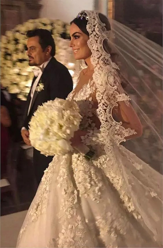 Luxury Ball Gown Wedding Dresses Lace Applique Sheer Jewel Neck Backless Sexy Country Wedding Gowns Long Sleeve Plus Size Bridal Dress