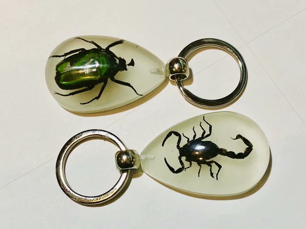 Fashion Jewelry YQTDMY new size 12 pcs Scorpion Beetle Keychain New Product Fashion Souvenir Novelties, Slivery;golden
Fashion Jewelry YQTDMY new size 12 pcs Scorpion Beetle Keychain New Product Fashion Souvenir Novelties, Slivery;golden