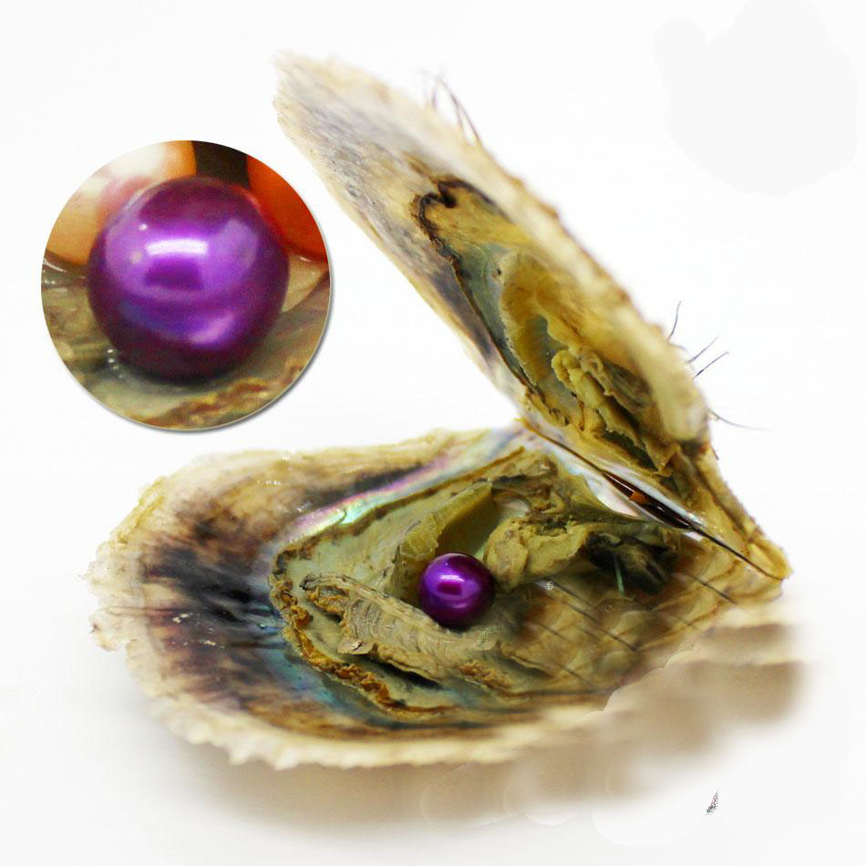 DIY 6-7mm round akoya pearls oyster 27 mixed colors natural grade oyster mussel jewelry making Trend Gift Surprise
DIY 6-7mm round akoya pearls oyster 27 mixed colors natural grade oyster mussel jewelry making Trend Gift Surprise