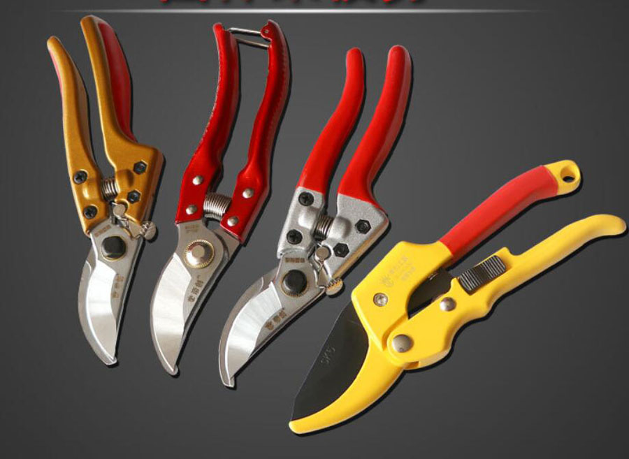 

Garden Scissors Grafting Tool Fruit Tree Pruning Shears Bonsai Pruners Garden Shears Gardening Secateurs Easy Pruners