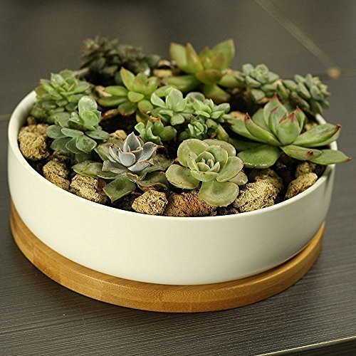 Modern White Ceramic Round Succulent Cactus Planter Pot with Drainage Bamboo Tray,Decorative Garden Flower Holder Bowl
Modern White Ceramic Round Succulent Cactus Planter Pot with Drainage Bamboo Tray,Decorative Garden Flower Holder Bowl
