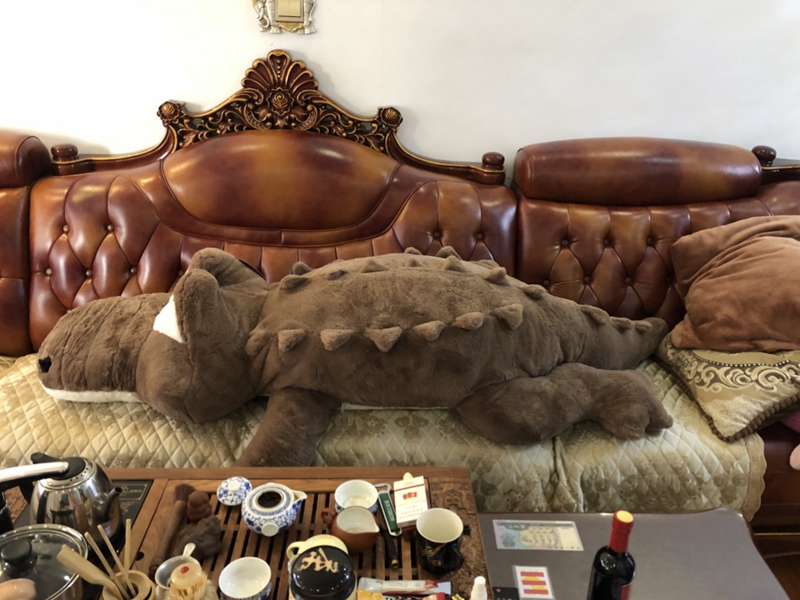 Dorimytrader Biggest Soft Lying Animal Crocodile Plush Toy Anime Alligator Toy Animals Pillow Lover Gift Accompany Gifts 300cm DY50195