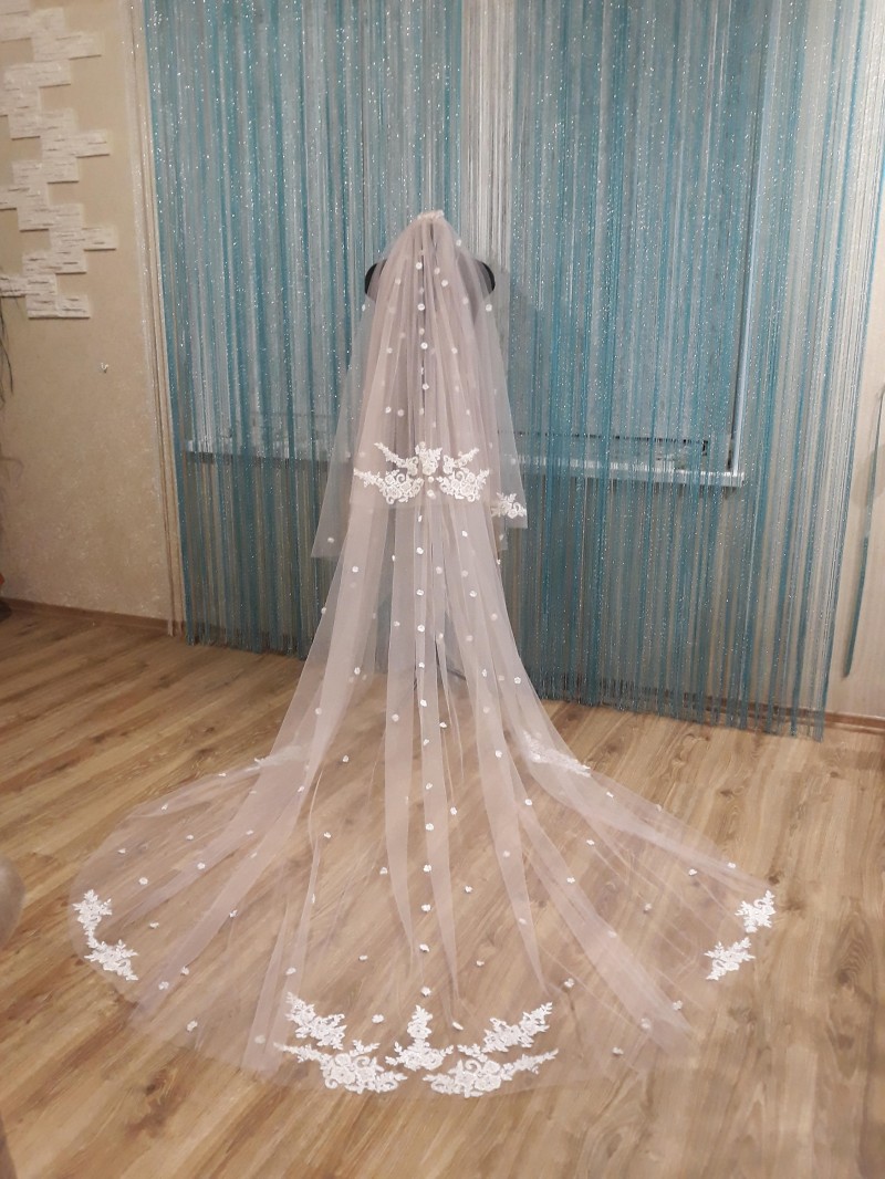 Custom Made Lace Appliques Two Layers Wedding Veils With 3D Flowers Bridal Hair Accessories 3 Meters Long Headpieces, White
Custom Made Lace Appliques Two Layers Wedding Veils With 3D Flowers Bridal Hair Accessories 3 Meters Long Headpieces, White