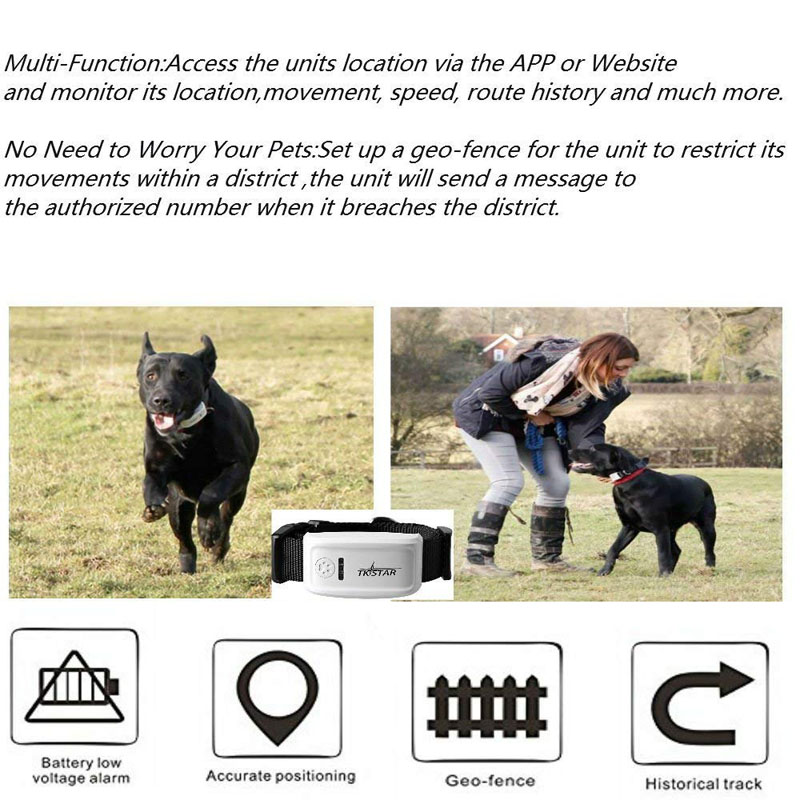 Real-time GPS TK909 Pet Tracker for Cats & Dogs - Worldwide Coverage, Supports Both Android and iOS Devices