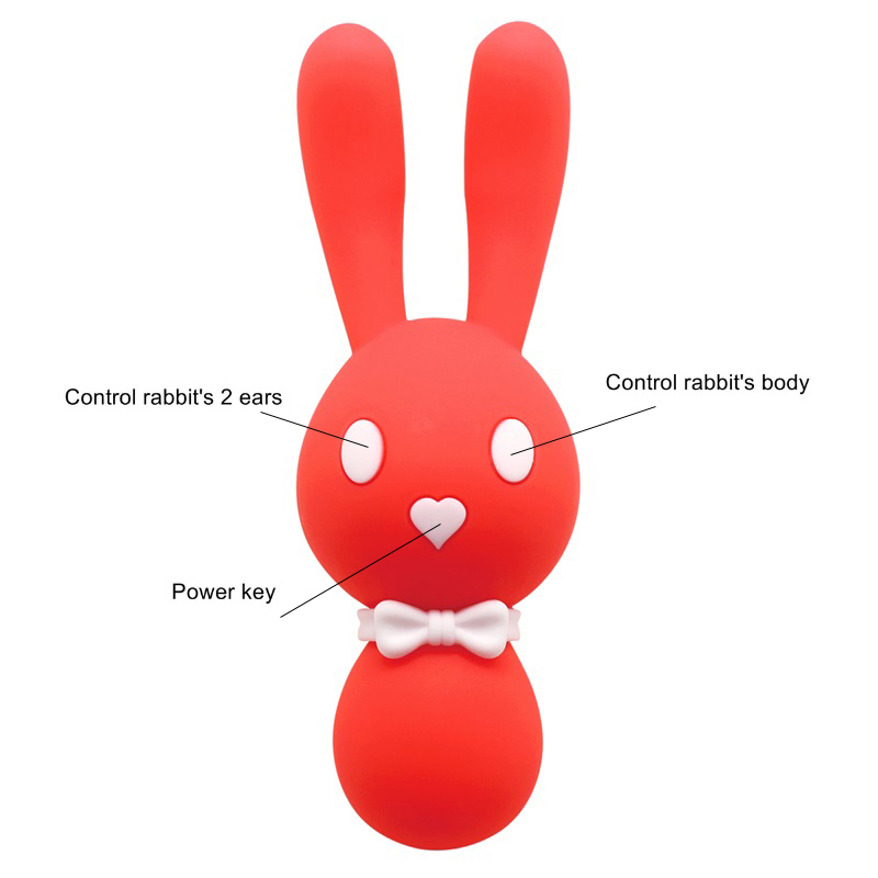 10 Speed USB Charging Rabbit Vibrating Egg G-spot Nipple & Clitoris Stimulator Massage Vibrator Masturbation Adult Sex Toys A3 Y18102605