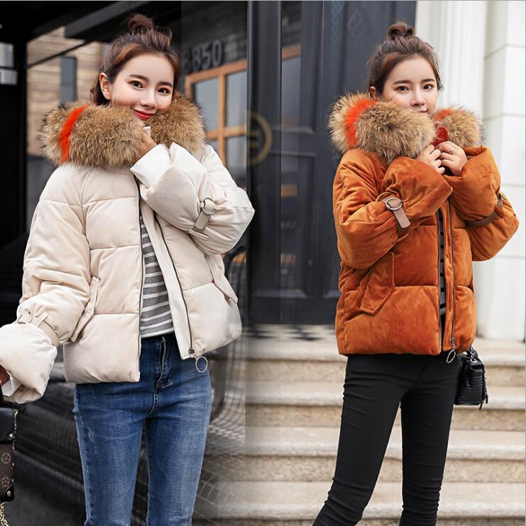 Casual Autumn Winter Jacket Women Parka 2018 Short Thick Warm Velvet Coat Female Hoodies Fur Collar Jacket Outwear 2XL, Beige
Casual Autumn Winter Jacket Women Parka 2018 Short Thick Warm Velvet Coat Female Hoodies Fur Collar Jacket Outwear 2XL, Beige