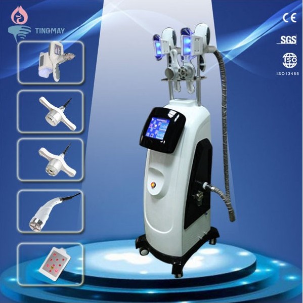 2018 world best selling products cryolipolysis cool shaping body slimming machine fat freeze cryolipolysis machine
2018 world best selling products cryolipolysis cool shaping body slimming machine fat freeze cryolipolysis machine