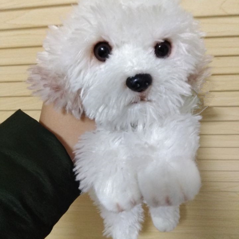 cute soft animal maltese dog plush toy mini stuffed lying animals pet dogs doll baby gift car decoration 35x12x14cm DY50138