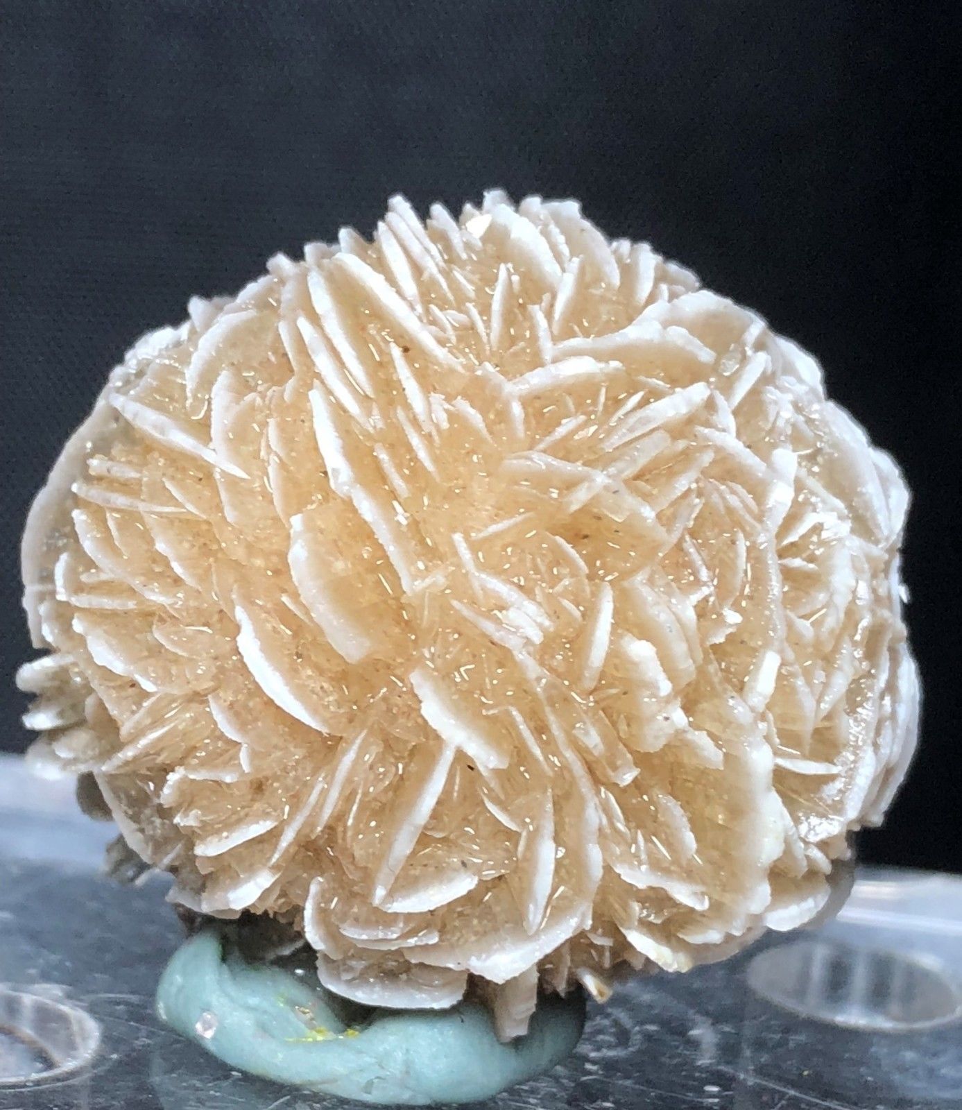 Gauges 120g Natural DESERT ROSE SELENITE Healing raw Crystal Stone Mineral Specimen rough sample cluster fengshui decor reki