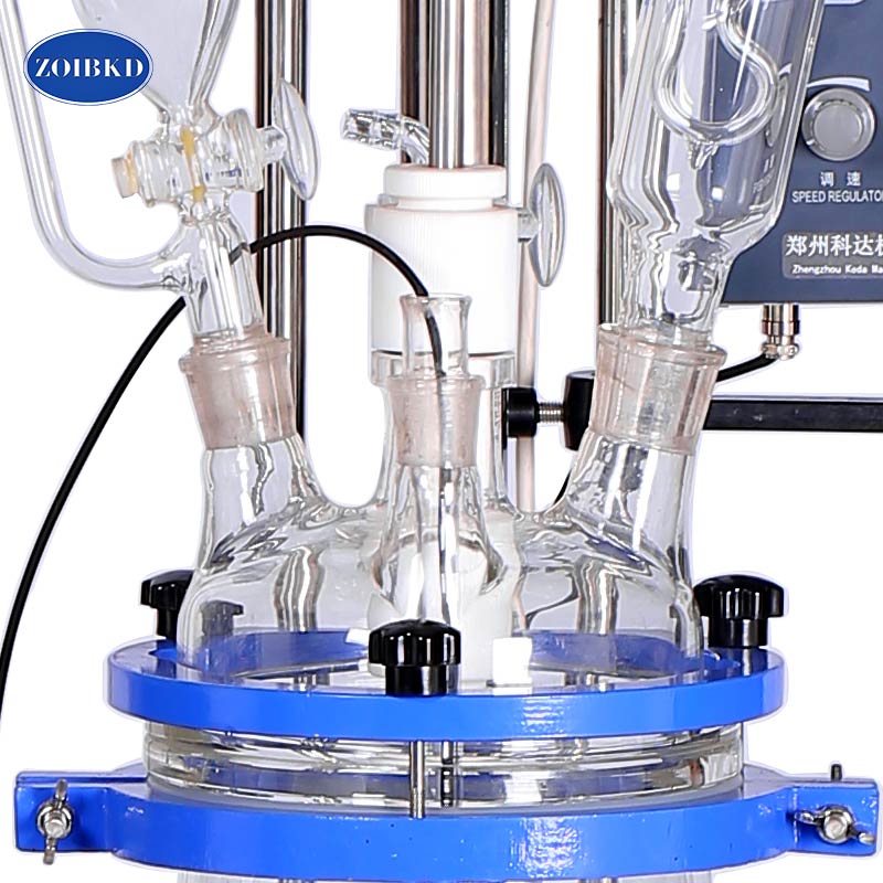 ZOIBKD Lab Supplies 5L University Chemical Laboratory Double-layer Jacket Glass Reactor Borosilicate Vacuum Glass-Reactor Vessel