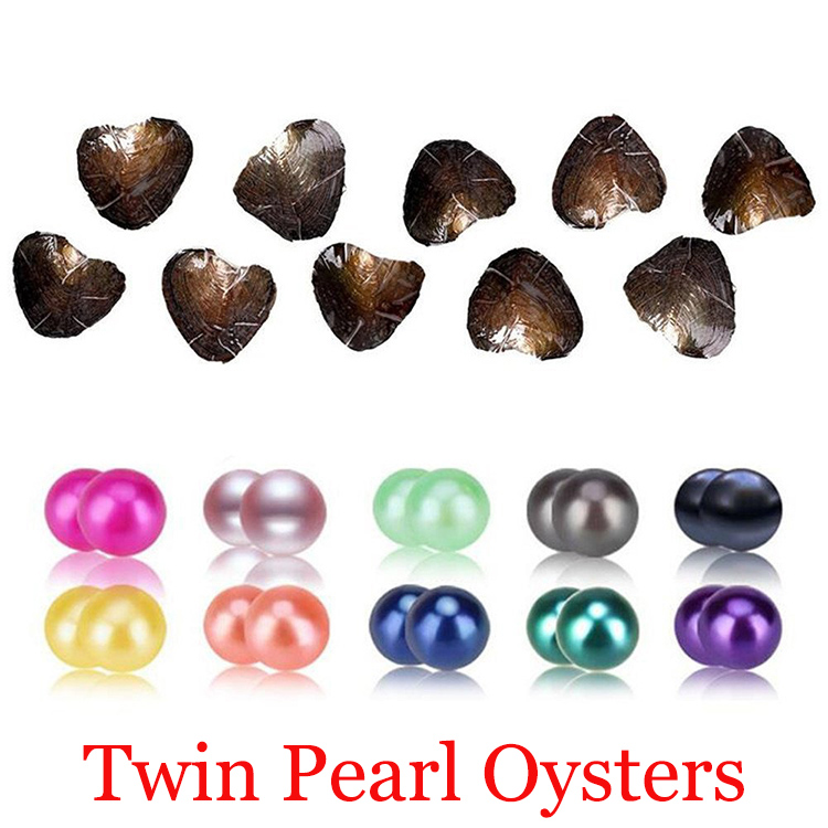 2021 DIY Freshwater Twins Pearls In Oysters 25 Colors Pearls Oyster Pearls With Vacuum-Packing Luxury Jewelry Birthday Gift For Women от DHgate WW