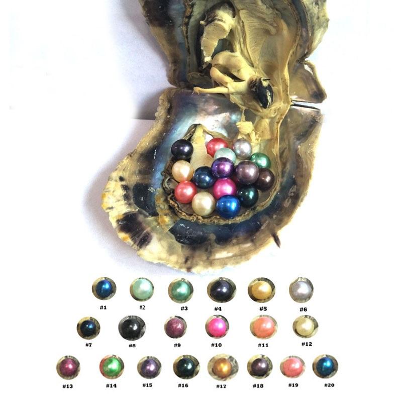 free shipping!Akoya Pearl Oyster 2018 new Round 6-7mm seawater natural Cultured in Fresh Oyster Pearl Mussel Farm Supply wholesale
free shipping!Akoya Pearl Oyster 2018 new Round 6-7mm seawater natural Cultured in Fresh Oyster Pearl Mussel Farm Supply wholesale