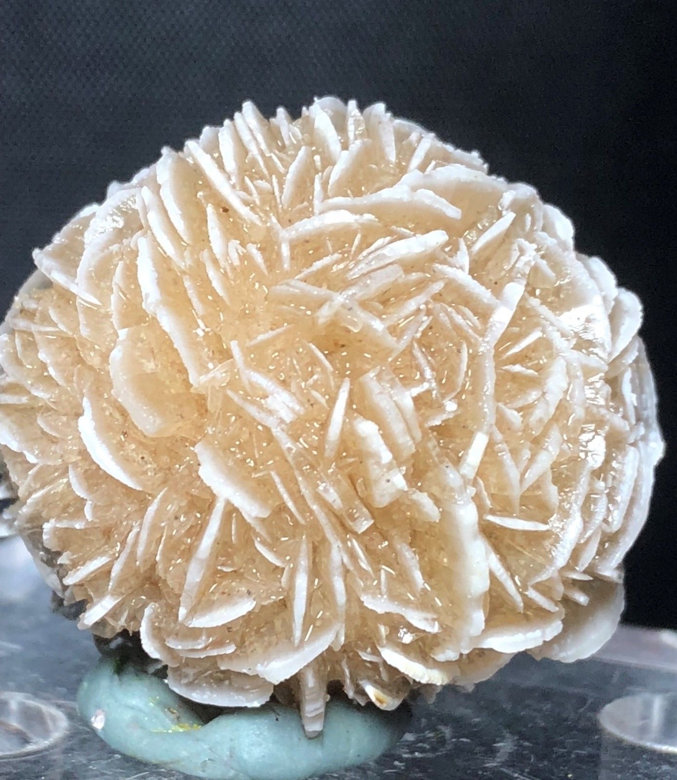 Gauges 120g Natural DESERT ROSE SELENITE Healing raw Crystal Stone Mineral Specimen rough sample cluster fengshui decor reki