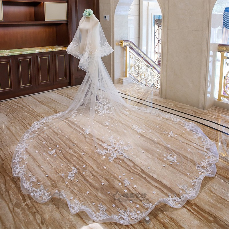Elegant Two Layers Long Cathedral Wedding Veils Floral Appliqued Lace Trim Soft Tulle One Layer Wide Bridal Veil With Comb