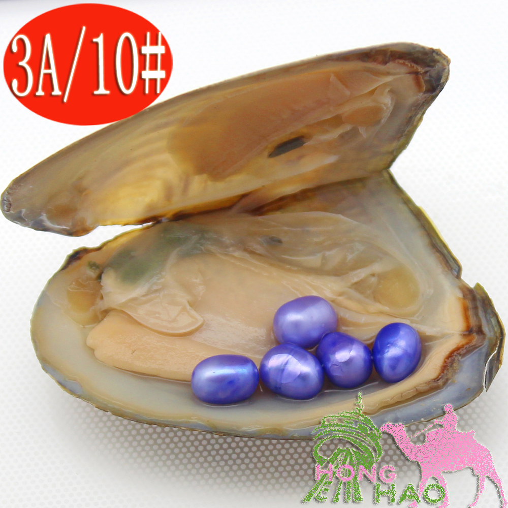2018 surprise gift of a vacuum-packed natural freshwater pearl oyster 6-8mm AAAgrade oval pearl festive party
2018 surprise gift of a vacuum-packed natural freshwater pearl oyster 6-8mm AAAgrade oval pearl festive party