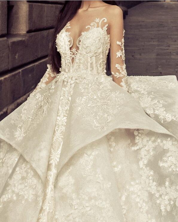 Fantastic Lace Ball Gown Wedding Dress See Through Long Sleeve Applique Sheer Backless Bridal Dress Glamorous Sexy Long Train Wedding Dress