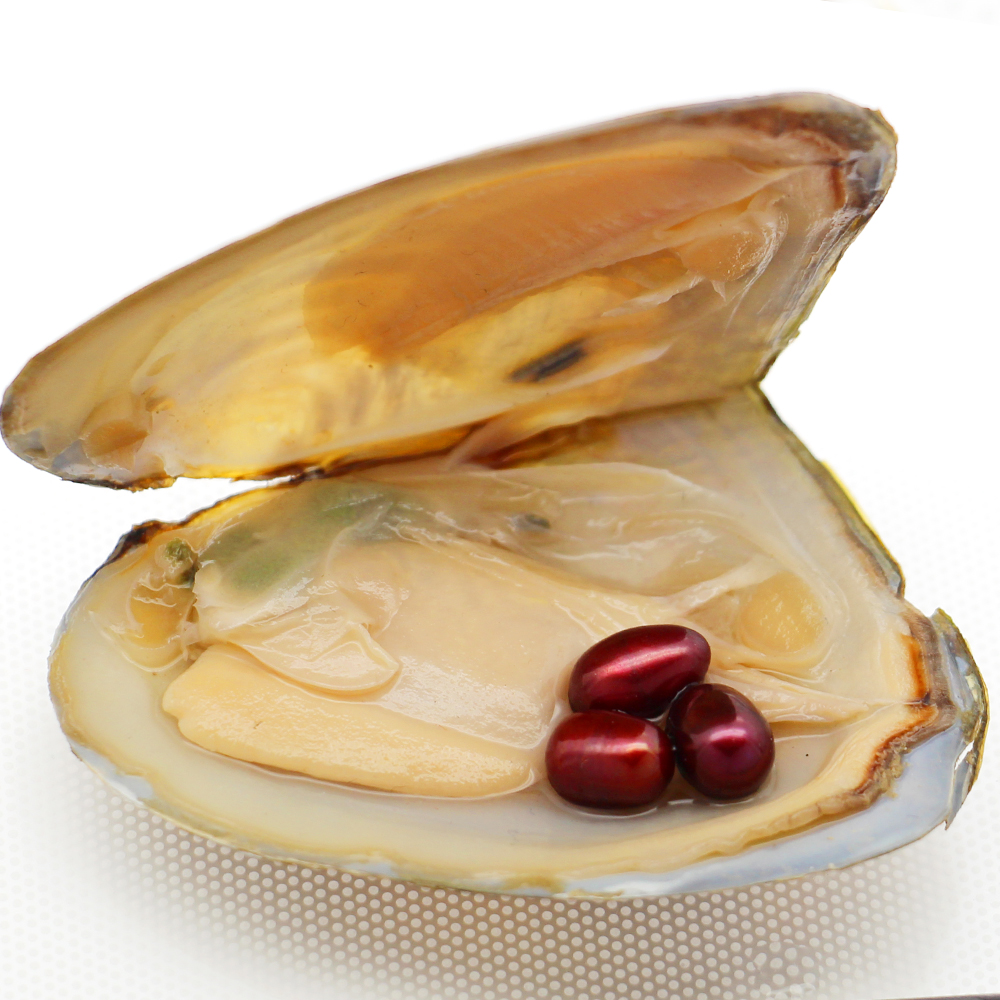 Wholesale oval Oyster Pearl New 6-8mm 3 Same color Freshwater Natural Pearl Gift, Loose Decoration Vacuum Pack
Wholesale oval Oyster Pearl New 6-8mm 3 Same color Freshwater Natural Pearl Gift, Loose Decoration Vacuum Pack
