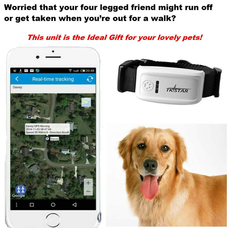 Real-time GPS TK909 Pet Tracker for Cats & Dogs - Worldwide Coverage, Supports Both Android and iOS Devices