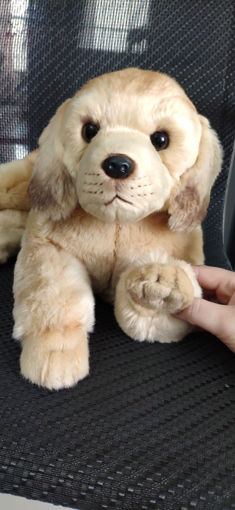Quality Simulation Animal Golden Retriever Dog Plush Toy Stuffed Soft Prey dog Pet Doll 50X23cm DY50118