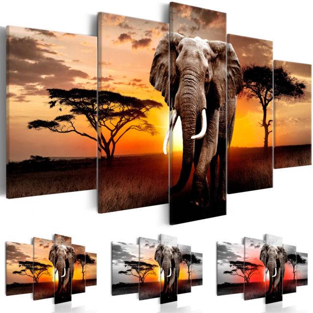 5Pcs Sunset Elephant Large Landscape Painting Canvas Picture Prints for Home Living Room Decor (Color: Multicolor)
5Pcs Sunset Elephant Large Landscape Painting Canvas Picture Prints for Home Living Room Decor (Color: Multicolor)
