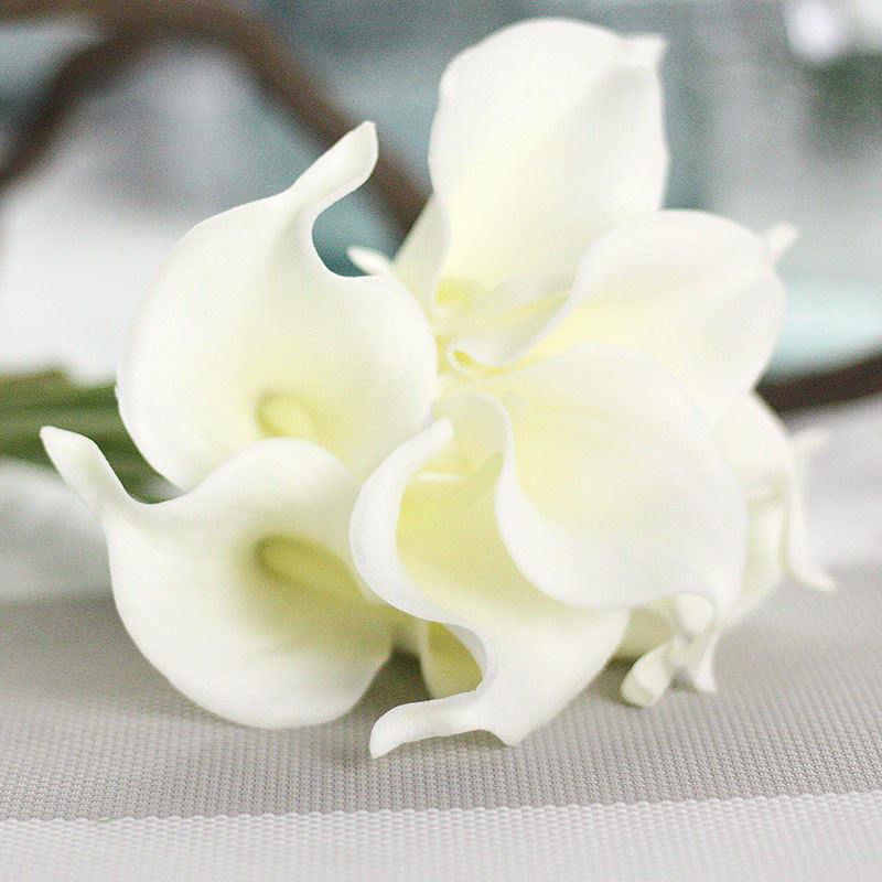 Artificial Flowers Cheap PU Calla Lily for Home Decoration Wedding Party Supplies Bridal Bouquet Artificial Flowers, As the picture
Artificial Flowers Cheap PU Calla Lily for Home Decoration Wedding Party Supplies Bridal Bouquet Artificial Flowers, As the picture