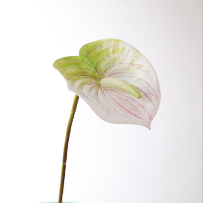 simulation Real Touch Artificial Flowers Anthurium Silk Flower Living Room Home Decoration Bedroom Hotel Wedding Decorations Flower Wall
simulation Real Touch Artificial Flowers Anthurium Silk Flower Living Room Home Decoration Bedroom Hotel Wedding Decorations Flower Wall