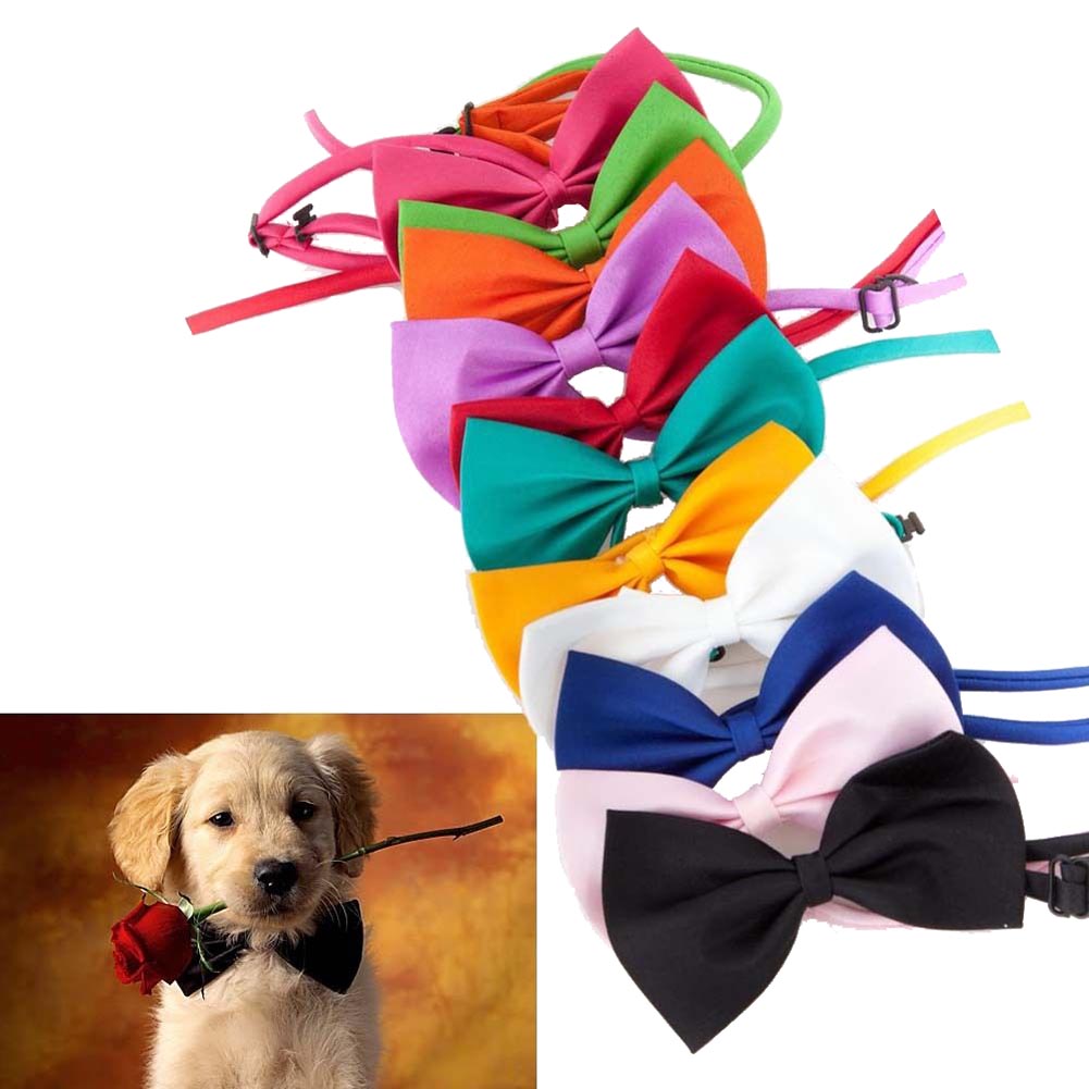 Fashion Cute Pet Bow Tie Cat Dog Collar Necktie Necklace Collar Puppy Bright Colour Pet Bowtie Lot Puppy Dog Neck Accessories
Fashion Cute Pet Bow Tie Cat Dog Collar Necktie Necklace Collar Puppy Bright Colour Pet Bowtie Lot Puppy Dog Neck Accessories