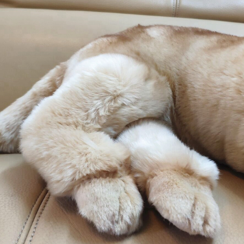 Quality Simulation Animal Golden Retriever Dog Plush Toy Stuffed Soft Prey dog Pet Doll 50X23cm DY50118